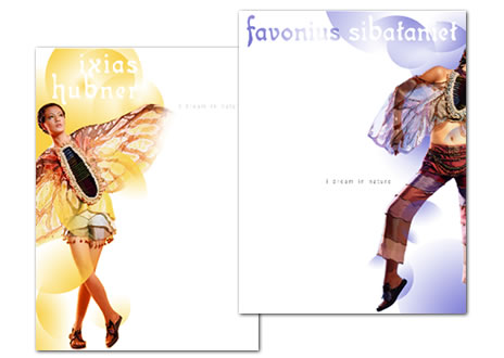 butterfly fashion Poster